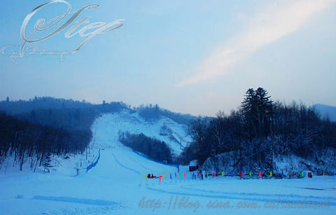 哈尔滨天气预报15天_天气预报15天查询图_15