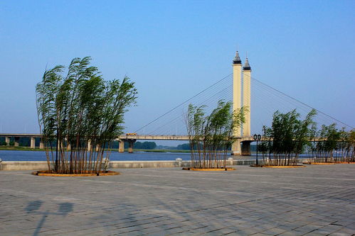 巴尔达天气预报