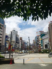 上野天气预报
