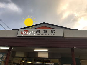 尾鹫天气预报
