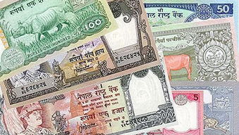 钦塔马尼天气预报