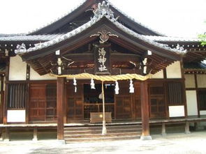 松山天气预报