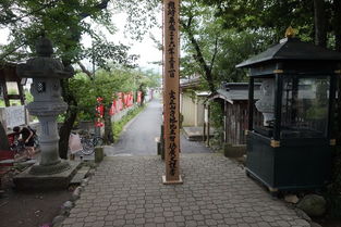 秩父天气预报