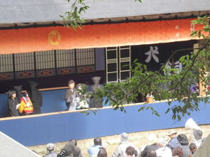德岛天气预报