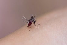 伊什卡希姆天气预报