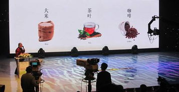 密支那天气预报