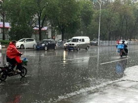 素林农业气象组天气预报