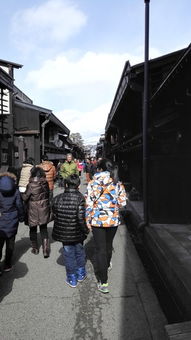 高山天气预报