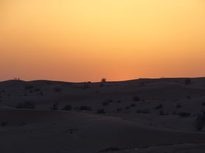 布赖米天气预报