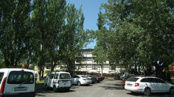 阿加德天气预报