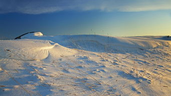莫济里天气预报