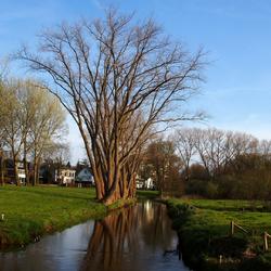 艾恩德霍芬天气预报