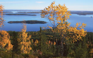 约恩苏天气预报