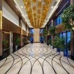 埃拉泽天气预报