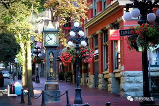 布卢里弗天气预报