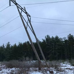哈利法克斯·斯坦菲尔德国际机场天气预报