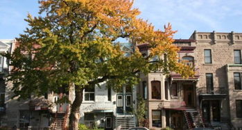 舍布鲁克天气预报