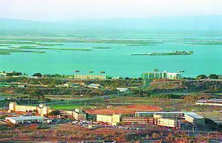 关塔那摩天气预报