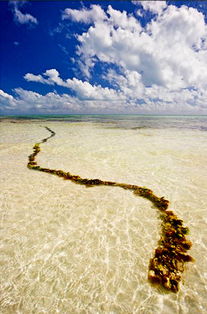 翁达港天气预报