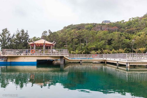 海龟湾天气预报
