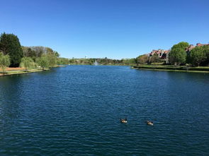 尤尼弗西蒂天气预报