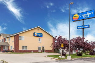 道奇堡天气预报