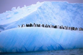 富士圆顶天气预报