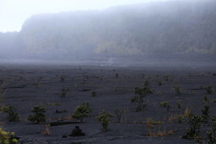 哈雷茂茂火山口天气预报