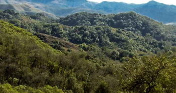 比亚蒙特斯天气预报