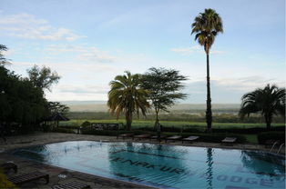 纳库鲁天气预报