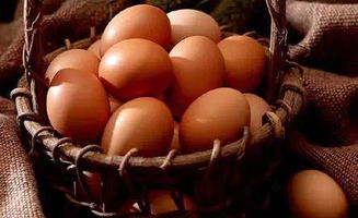 内加热天气预报