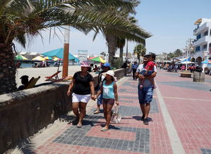 皮斯科天气预报