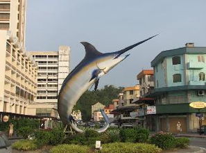 博罗莫天气预报