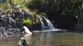 法拉凡加纳天气预报