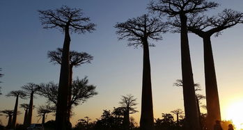 穆龙达瓦天气预报