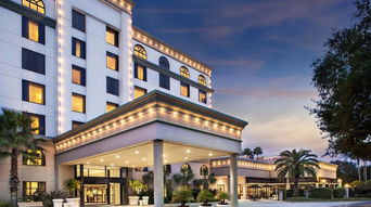 布埃纳文图拉天气预报