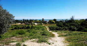 图利亚拉天气预报