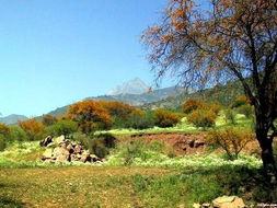 巴尔马塞塔天气预报