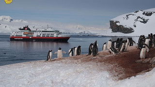 阿雷纳斯角天气预报
