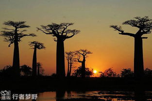 马南扎里天气预报