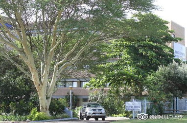 理查兹湾天气预报