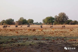 姆富韦天气预报