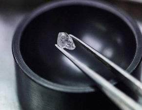 诺洛斯港天气预报