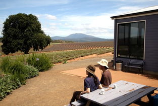 朗塞斯顿机场天气预报