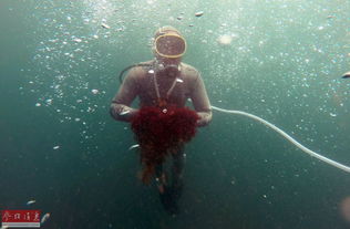 贾迪达天气预报