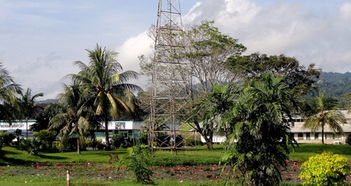 韦瓦克天气预报