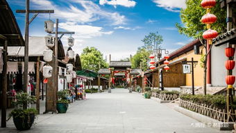 东阳天气预报