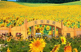 郑州天气预报