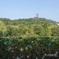 诸暨天气预报