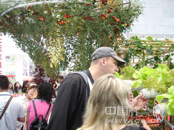 哈尔滨天气预报